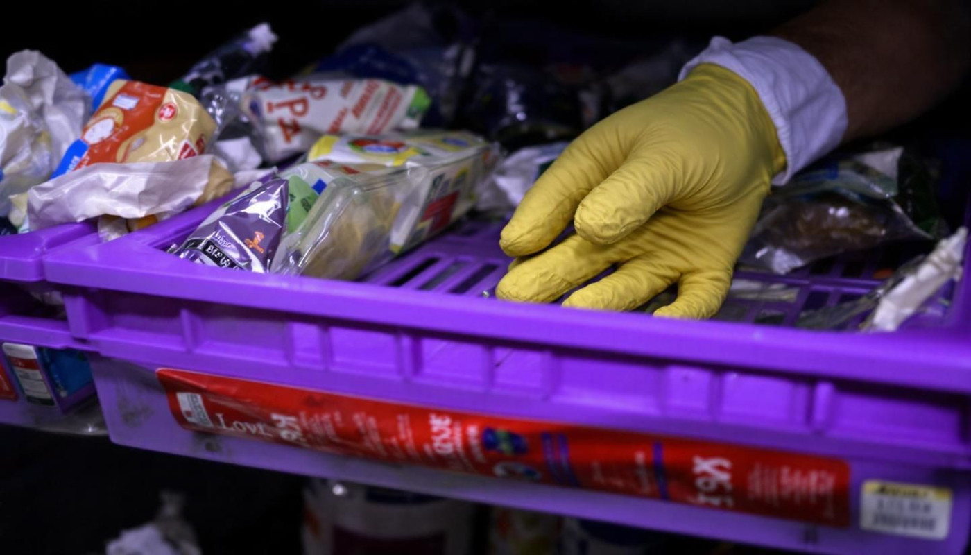 Comment identifier et contrer rapidement une infestation de rongeurs ?